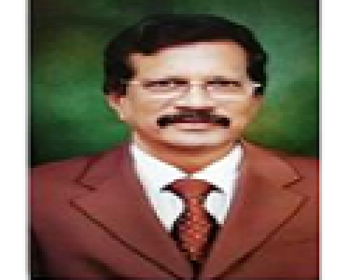 B. NAGESWAR RAO SUBUDHI